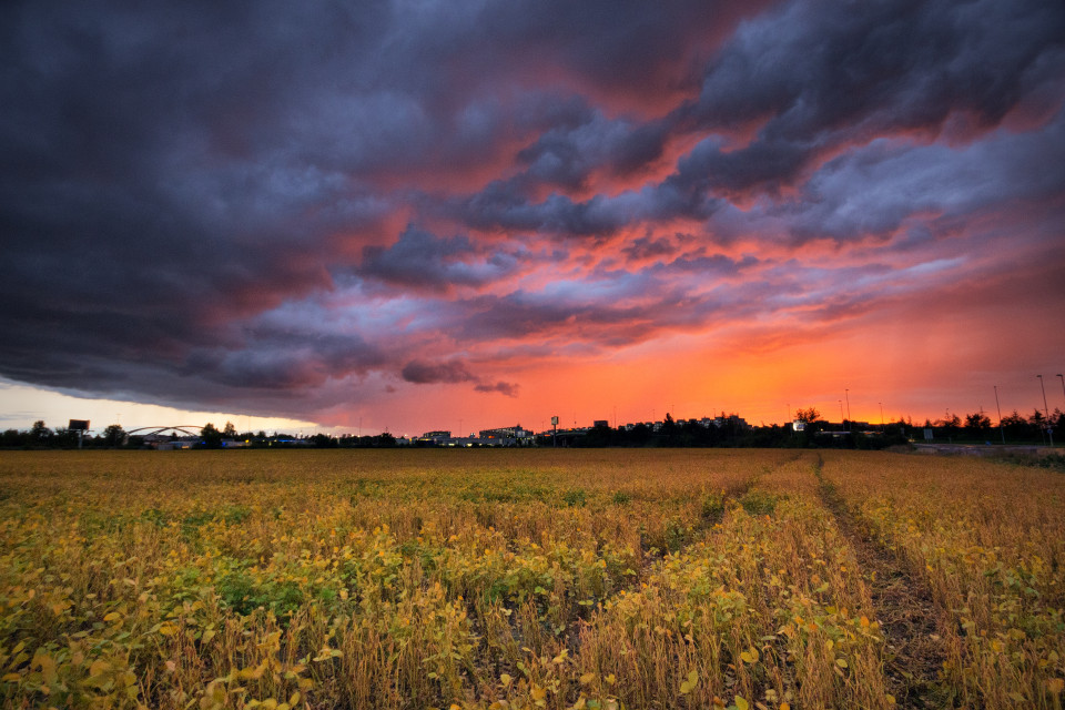 Abendrot am Stadtrand von Prag