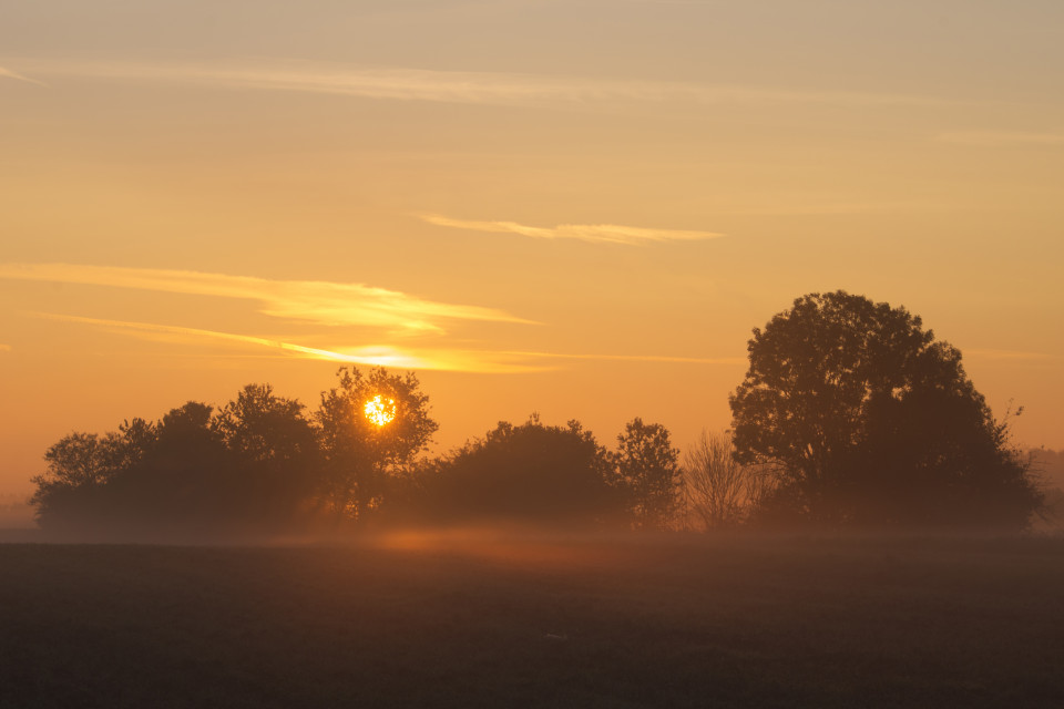 Sonnenaufgang bei Bühlenhausen