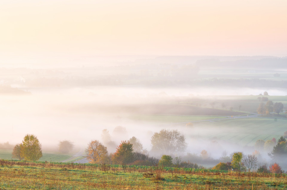 Frühnebel über dem Donautal