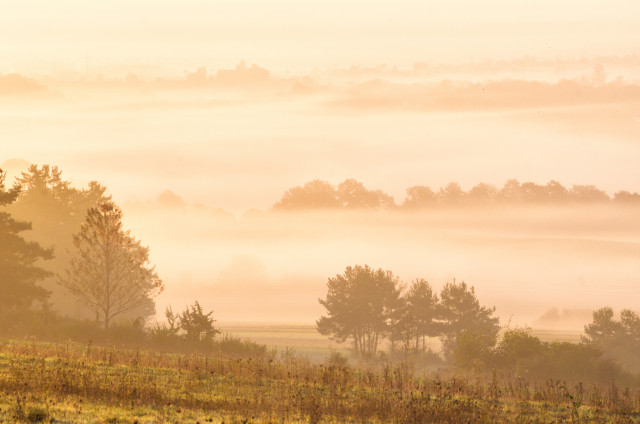 Frühnebel über dem Donautal