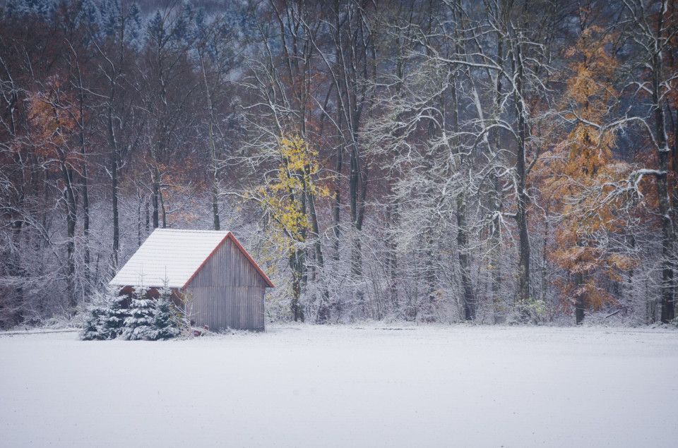 Erster Schnee bei Magolsheim