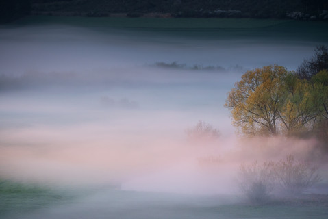 Frühnebel im Blautal