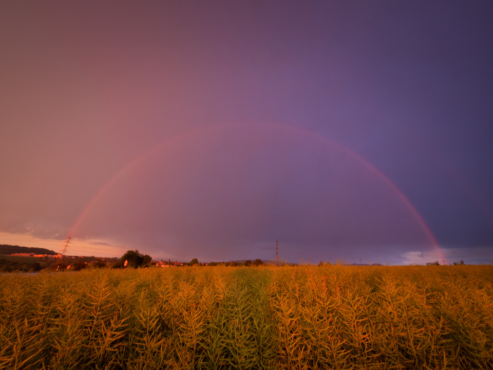 Roter Regenbogen