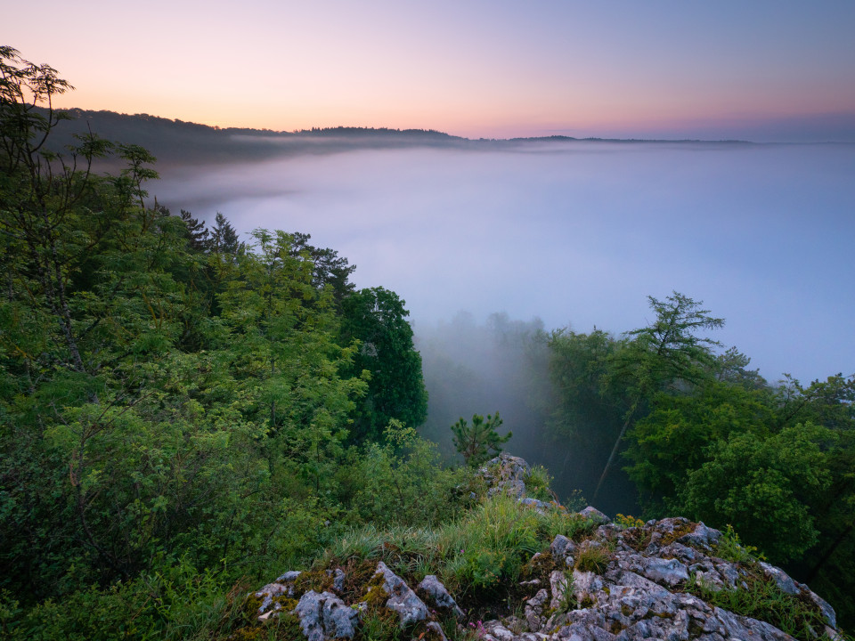 Morgenstimmung mit Nebel über Blaubeuren