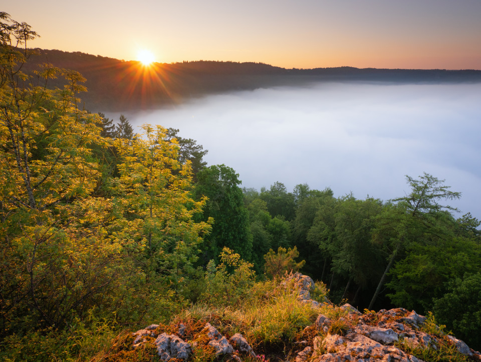 Morgenstimmung mit Nebel über Blaubeuren