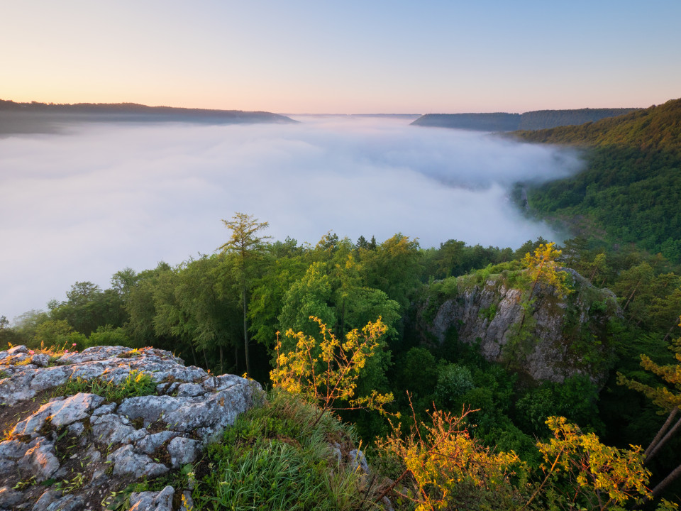 Morgenstimmung mit Nebel über Blaubeuren