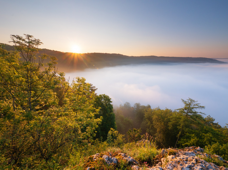 Morgenstimmung mit Nebel über Blaubeuren