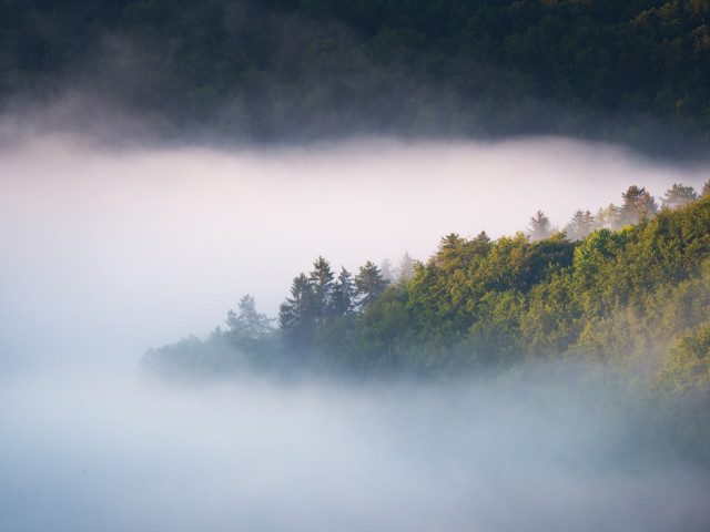 Morgenstimmung mit Nebel über Blaubeuren