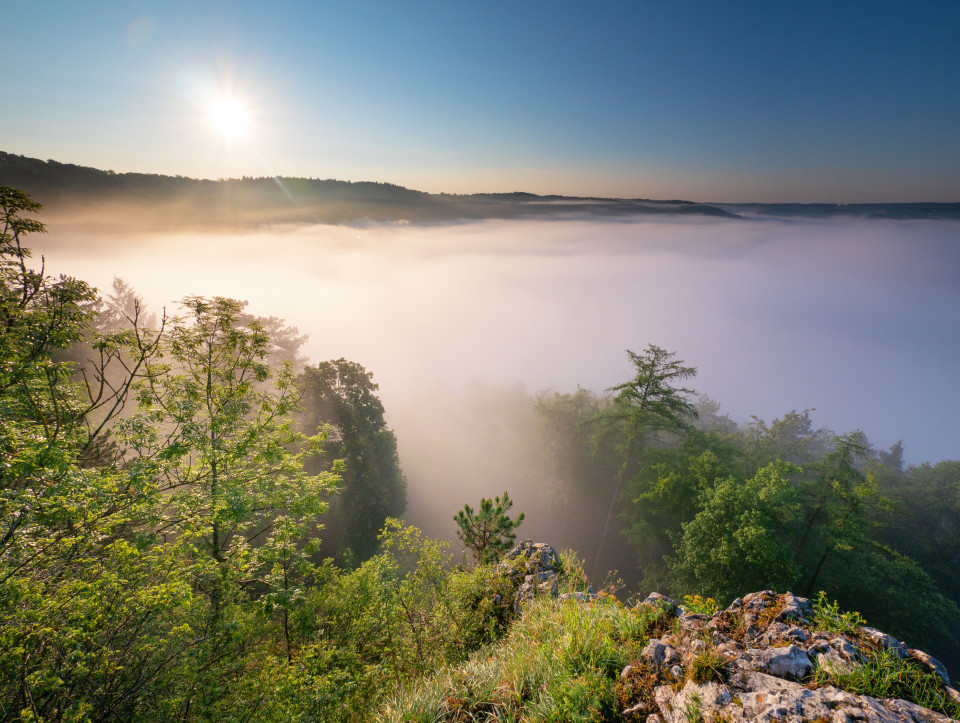 Morgenstimmung mit Nebel über Blaubeuren