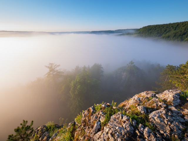 Morgenstimmung mit Nebel über Blaubeuren