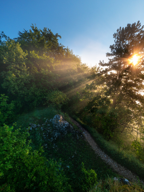 Wanderweg zum Blaufelsen