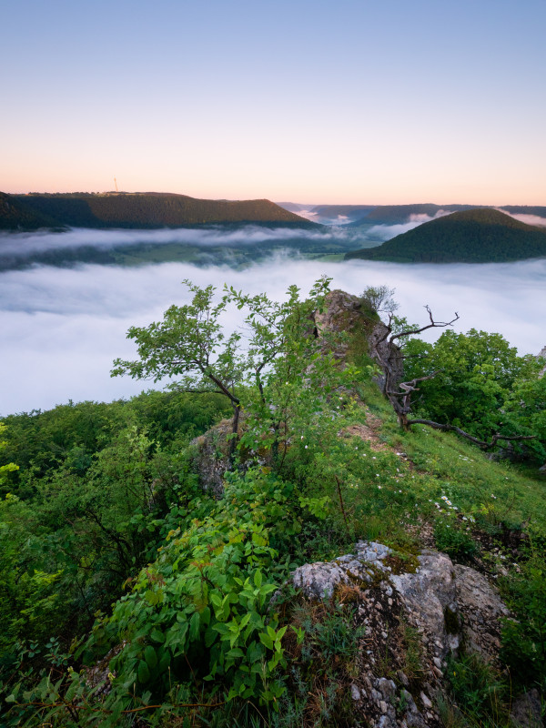 Morgenstimmung mit Frühnebel über dem Filstal