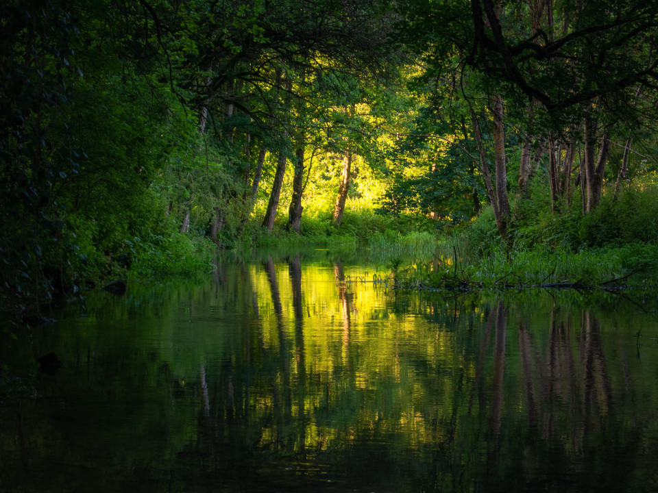 An der Kleinen Lauter