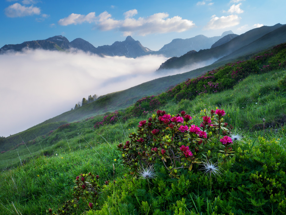 Nebel über dem Riedingtal