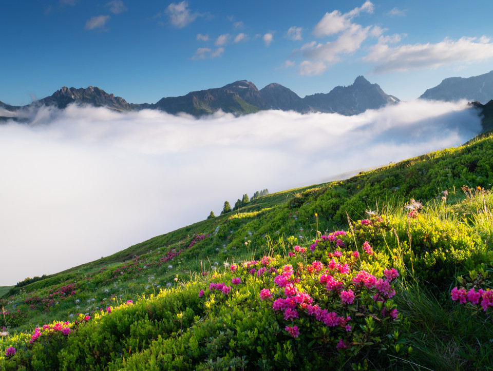 Nebel über dem Riedingtal