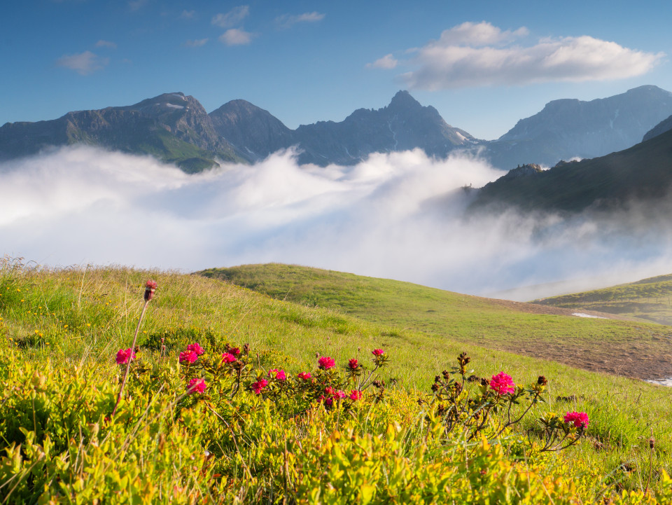 Nebel über dem Riedingtal