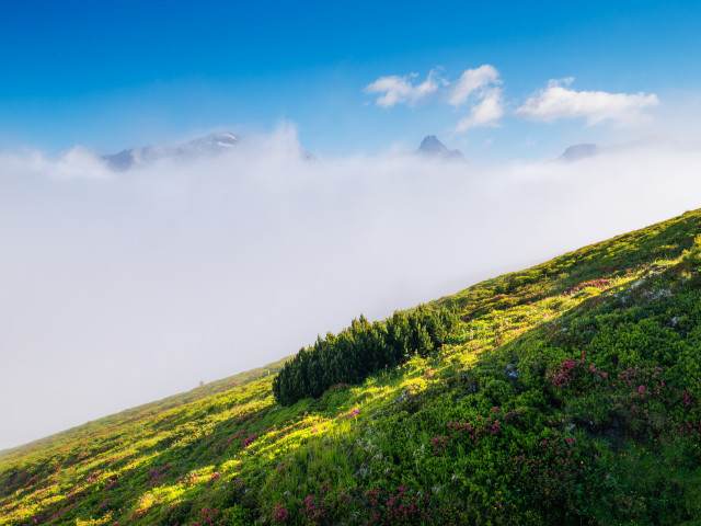 Nebel über dem Riedingtal