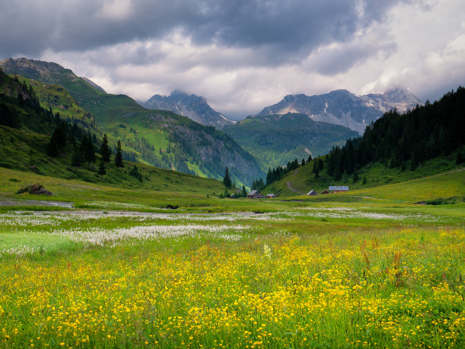 Bei der Zauneralm im Riedingtal