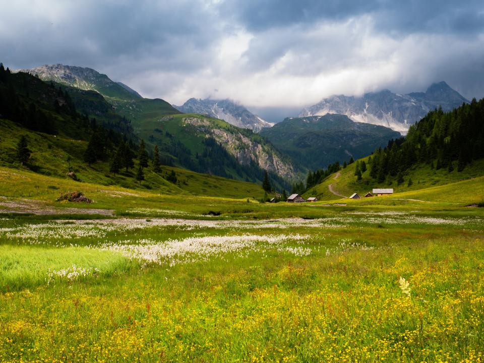 Bei der Zauneralm im Riedingtal