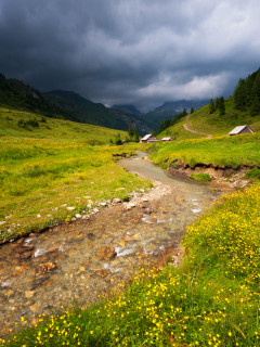 Bei der Zauneralm im Riedingtal