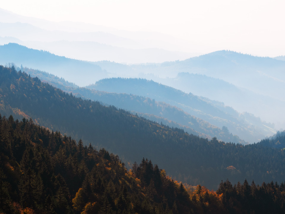 Herbstliche Aussicht vom Schauinsland