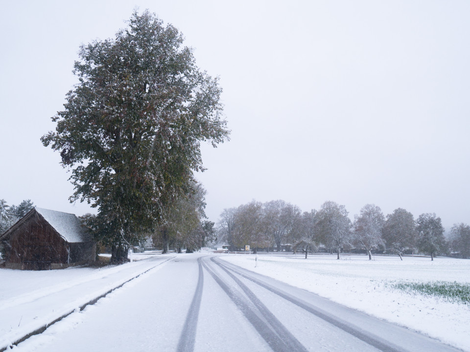 Erster Schnee bei Bermaringen