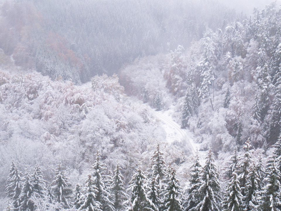 Erster Schnee im Kleinen Lautertal