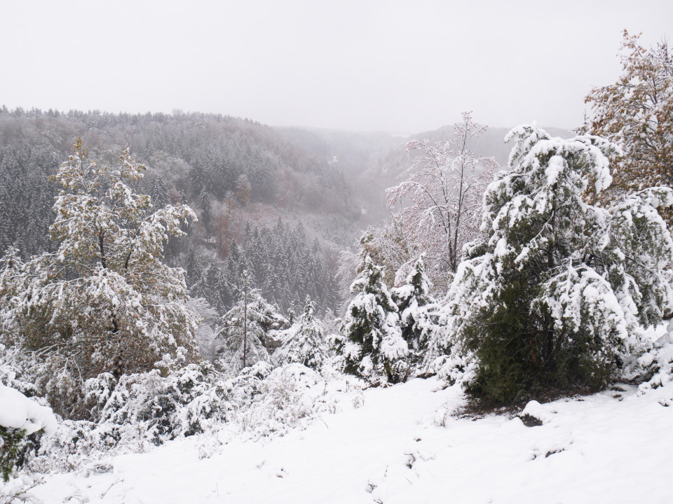 Erster Schnee im Kleinen Lautertal