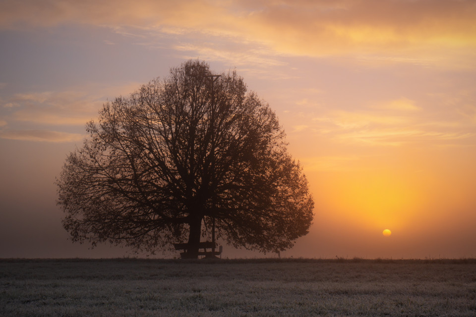 Sonnenaufgang mit Frühnebel