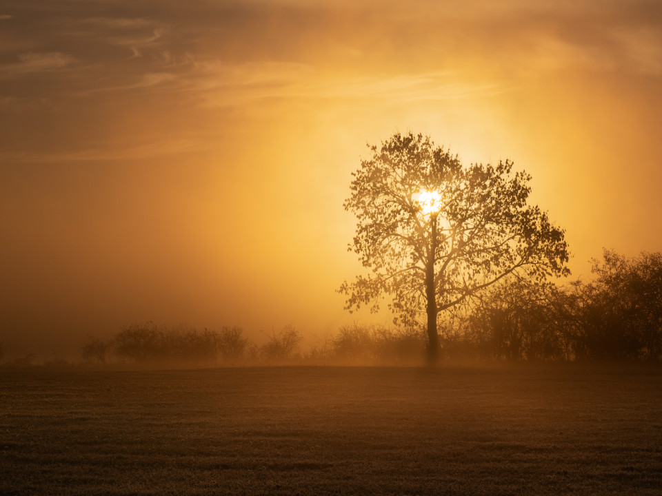 Sonnenaufgang mit Frühnebel