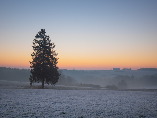 Spätherbstmorgen bei Westerheim
