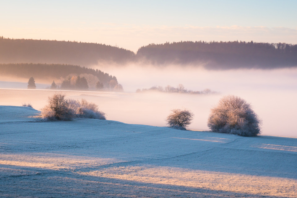 Spätherbstmorgen bei Westerheim