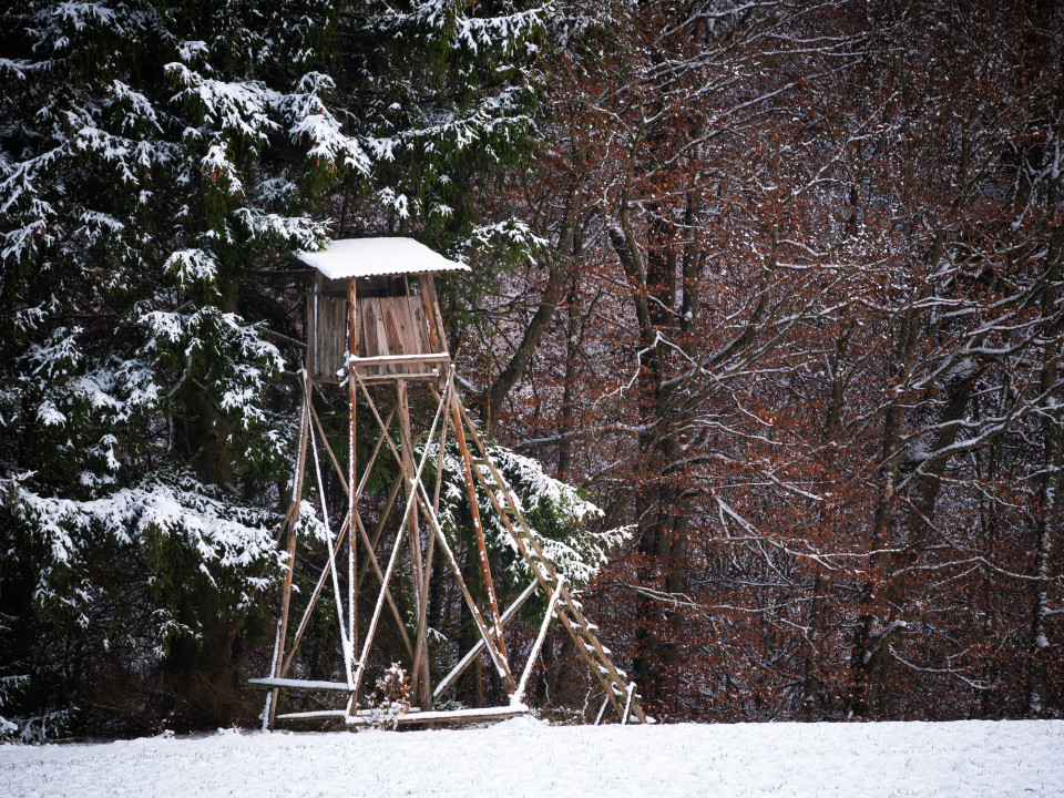 Winterwald bei Treffensbuch