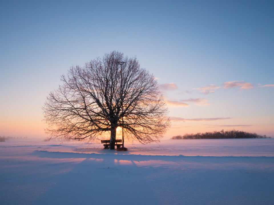 Wintermorgen bei Berghülen