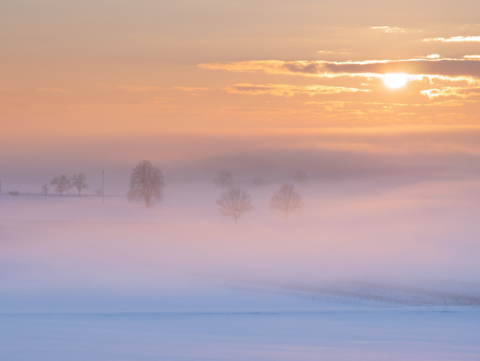 Wintermorgen bei Berghülen