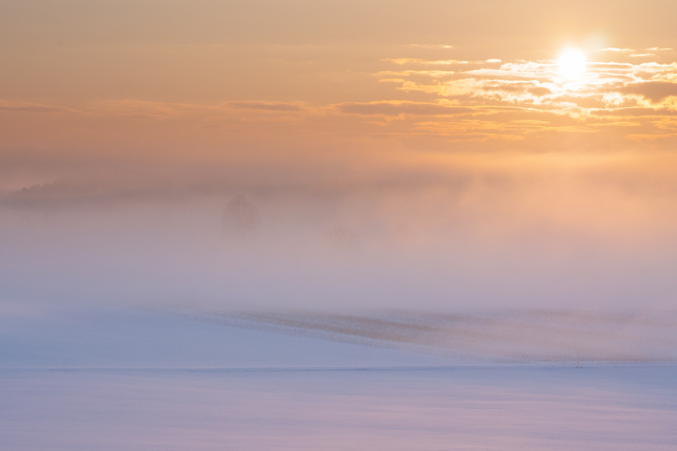 Wintermorgen bei Berghülen