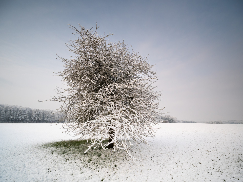 Neuschnee im April auf der Albhochfläche