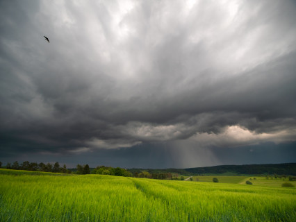 Aufziehendes Gewitter bei Gültlingen