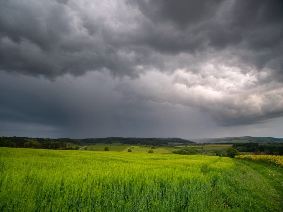 Aufziehendes Gewitter bei Gültlingen