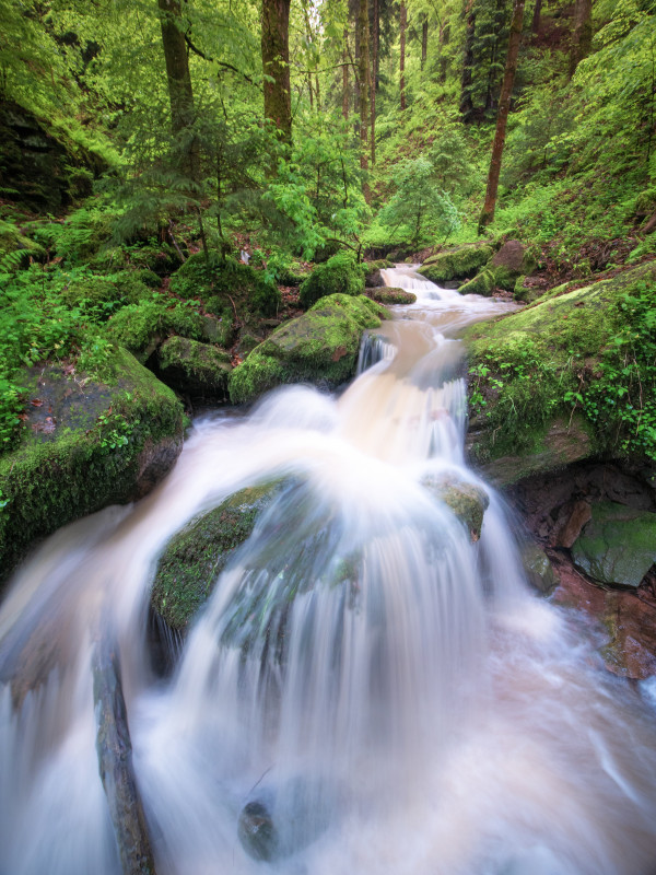 Wolfsschlucht bei Calw