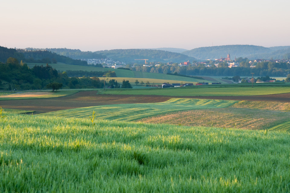 Blick auf Weil der Stadt von Norden