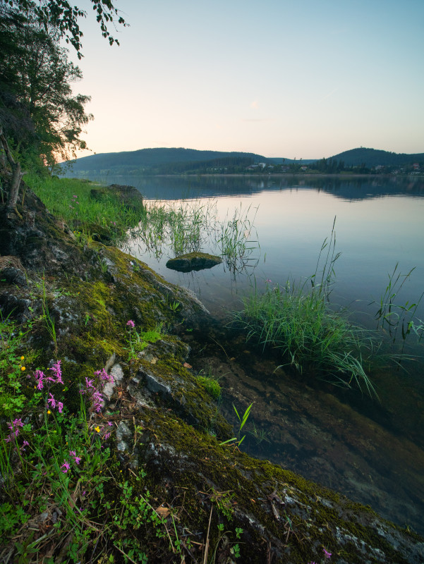 Abendstimmung am Schluchsee