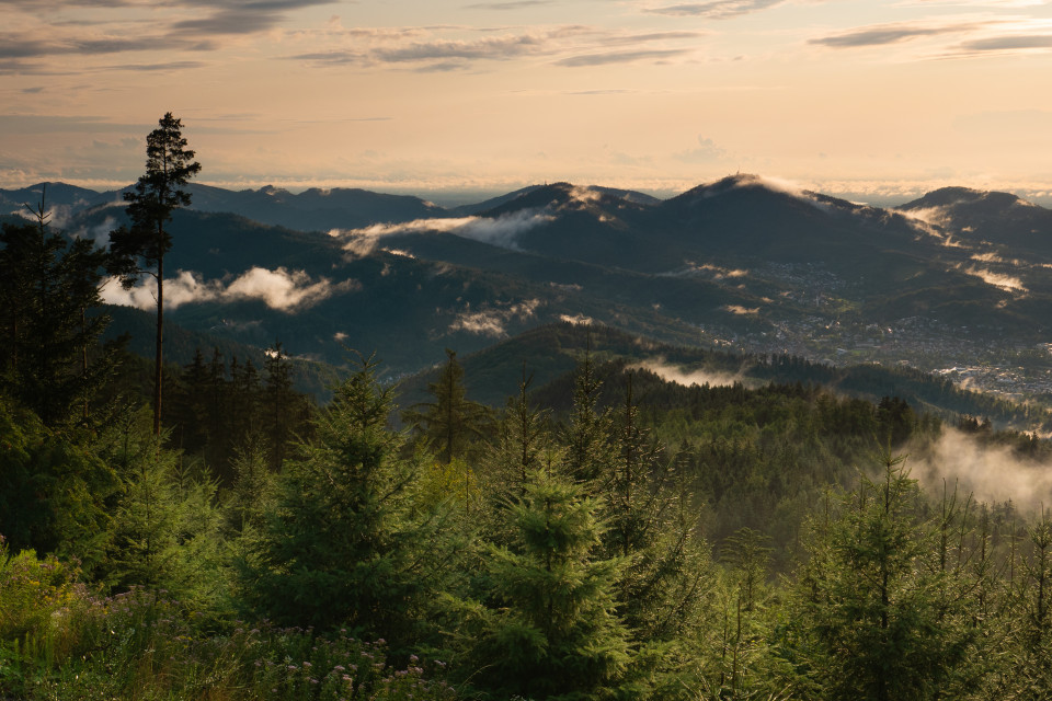 Aussicht von der Michelsrankhütte