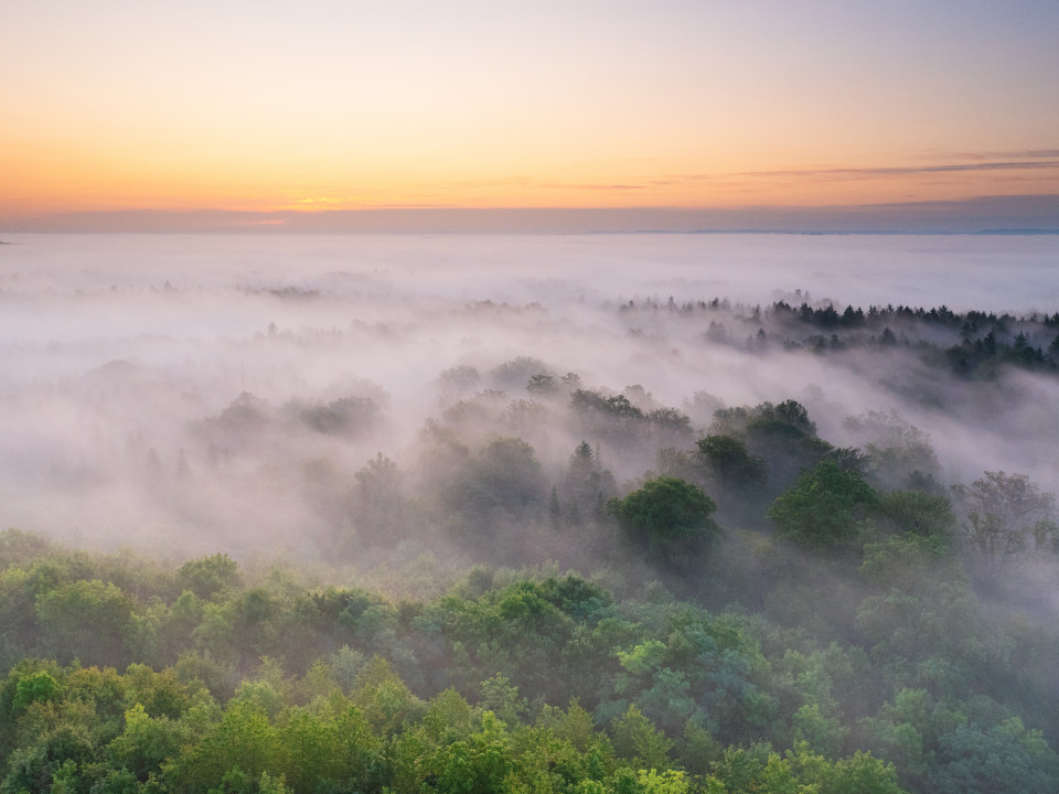 Morgenstimmung auf dem Schönbuchturm