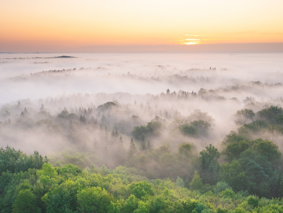 Morgenstimmung auf dem Schönbuchturm