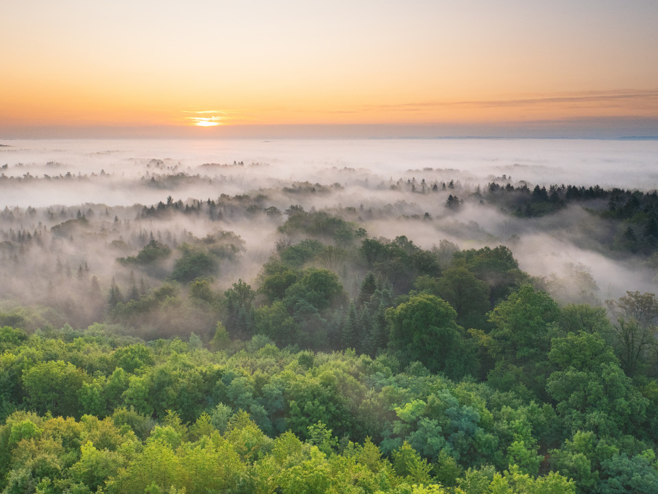 Morgenstimmung auf dem Schönbuchturm