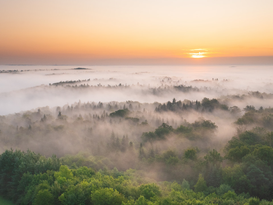 Morgenstimmung auf dem Schönbuchturm