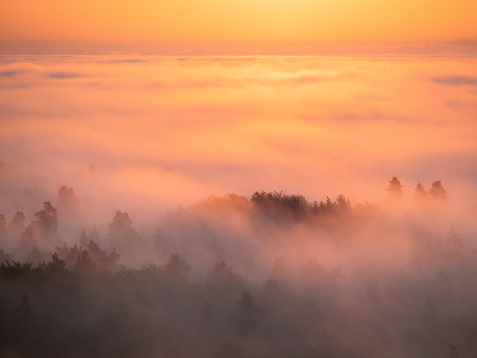 Morgendliche Nebelstimmung unter dem Schönbuchturm