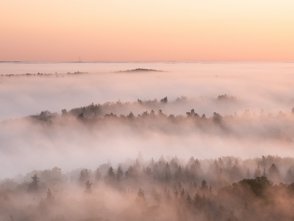 Morgendliche Nebelstimmung unter dem Schönbuchturm