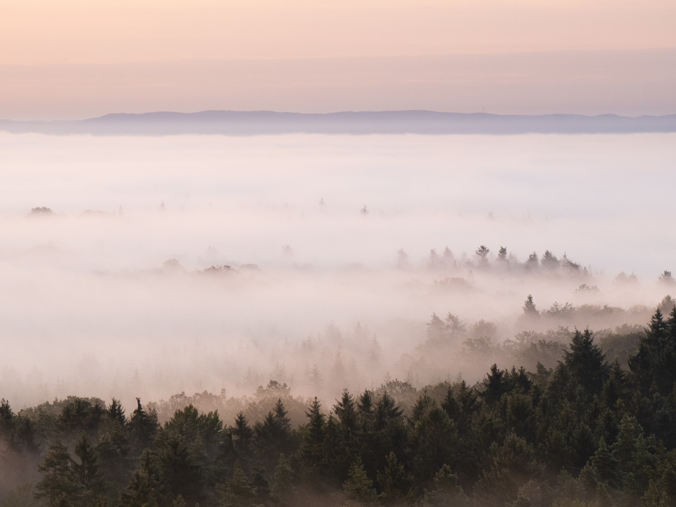 Blick vom Schönbuchturm Richtung Schwäbische Alb